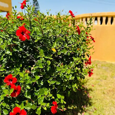 Moderno Con Vistas Al Mar - 1hab